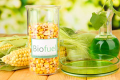 Llanfihangel Nant Melan biofuel availability